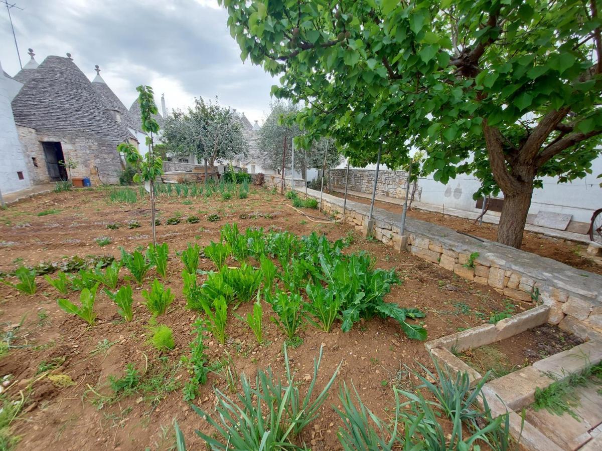Il Trullo Di Giada E Mattia Villa Alberobello Exterior photo