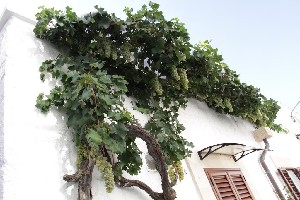 Il Trullo Di Giada E Mattia Villa Alberobello Exterior photo